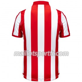 Maillot de Foot Stoke City Domicile 2019/20